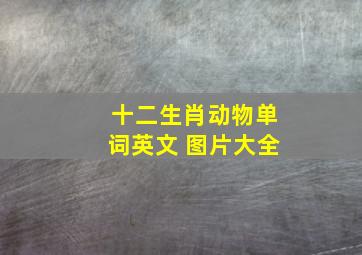 十二生肖动物单词英文 图片大全